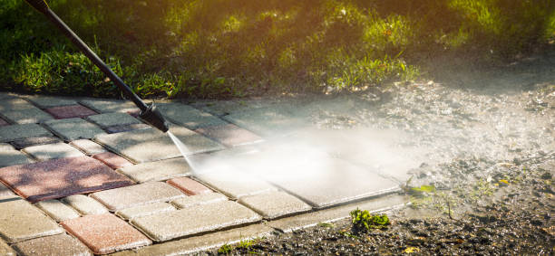 Best Soft Washing  in Edwards, MS